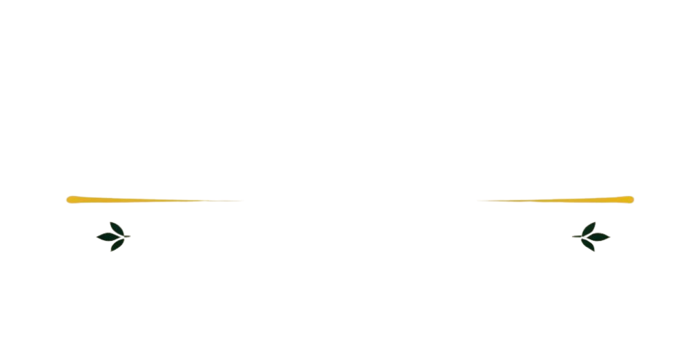 Maria Jose Collection